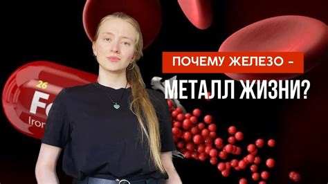 Влияние железа на коррозию алюминия