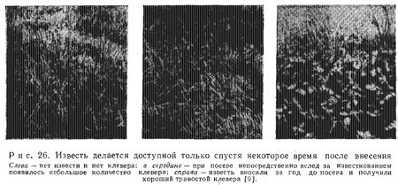 Влияние извести на металлическую поверхность