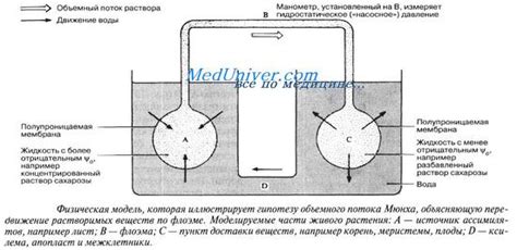 Влияние объемного вещества на формирование пор