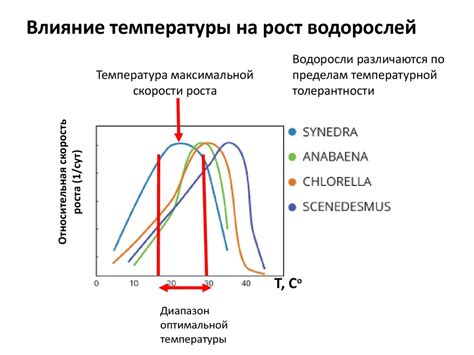 Влияние температуры на массу металла