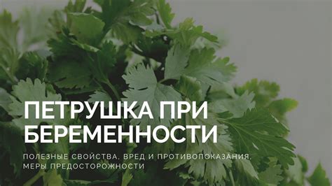 Вредные свойства и меры предосторожности