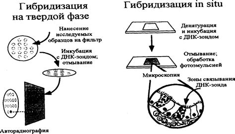 Использование пробы мк2 в промышленности