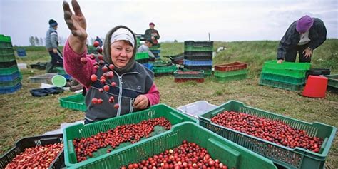 Металлургическая компания третьего места по объему производства