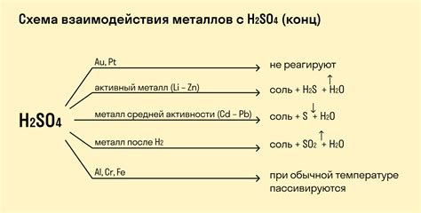 Металлы и кислоты: важное взаимодействие