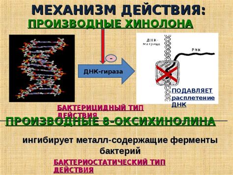 Механизм действия вазелина на металл