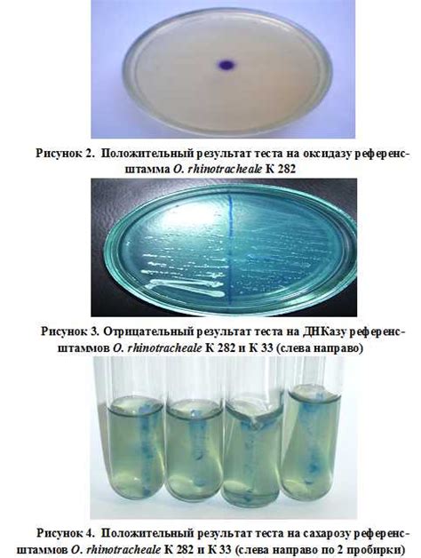 Образование хлоридов и их значимость в промышленности