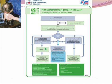 Последующие действия после нанесения