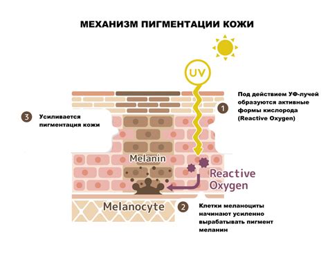 Почему кожа чернеет от металла