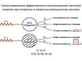 Преимущества использования медного купороса при обработке металлов