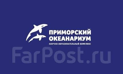 Работа отдела пропусков