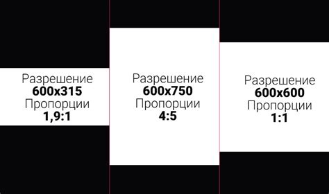 Размеры и пропорции строения