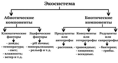 Структура и компоненты