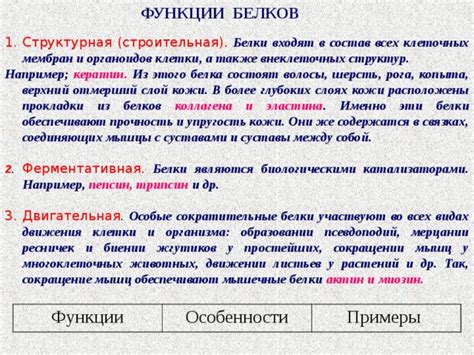 Структурная упругость