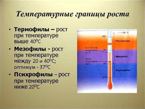 Температурные границы