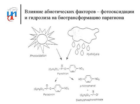 Токсичность и биоаккумуляция