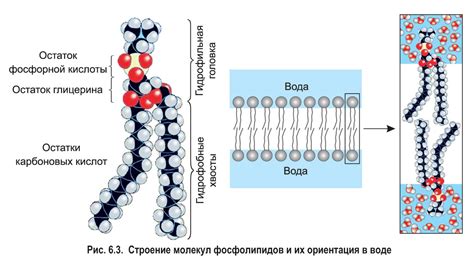 Химический состав и прочность