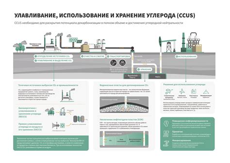 Хранение и использование разведенного порошка