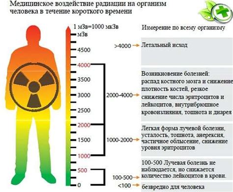 Что такое допустимые нормы радиации