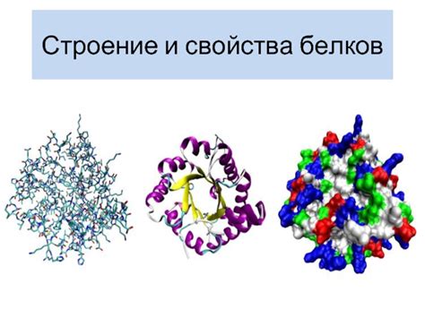 Эффект щелочей на механизм денатурации белков