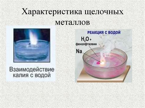  Важность реакций щелочных металлов для промышленности 