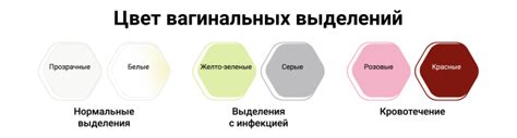 , , ) для выделения различных разделов.