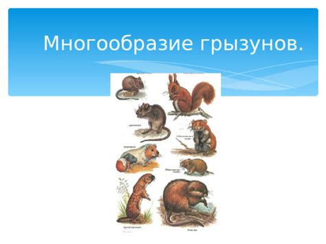 Адаптация грызунов к жизни в условиях зимней паузы: механизмы и эффекты