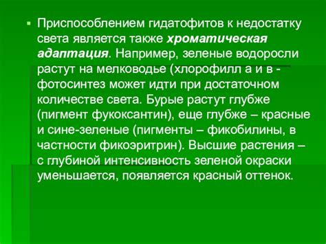 Адаптация к недостатку света