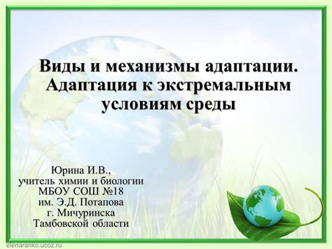 Адаптация к экстремальным условиям: растения справляются с низкими и высокими температурами