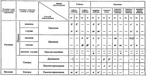 Акустическое отражение звуков в системе русского языка