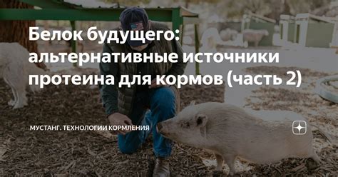 Альтернативные методы кормления