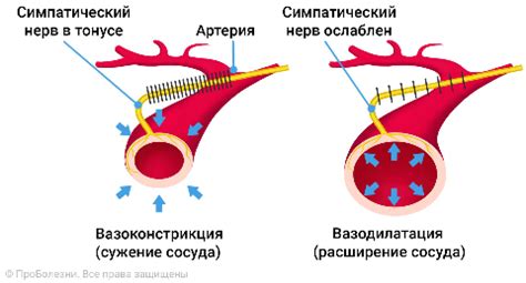 Альтернативы кофе для улучшения состояния при синдроме Рейно