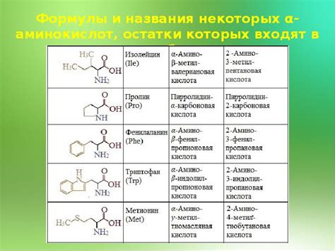 Аминокислоты: источник энергии и гормонов