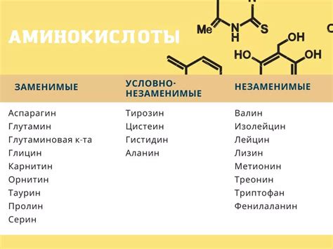 Аминокислоты как строительные блоки белков