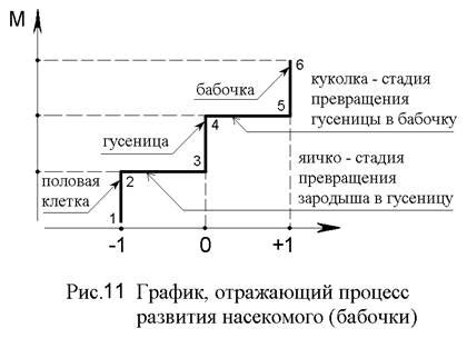 Анализ идентификации насекомого