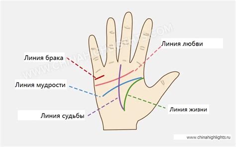 Анализ и толкование линий ладони парня