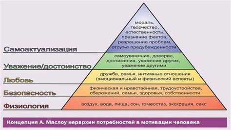 Анализ потребностей команды