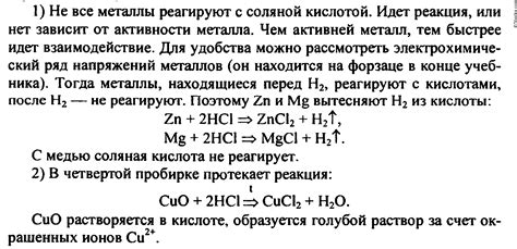 Анализ состава нори и ее питательных свойств