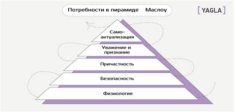 Анализ условий и потребностей компании