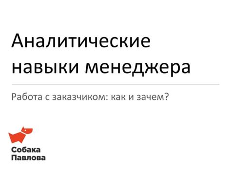 Аналитические навыки и обработка данных в работе на позиции менеджера маркетплейсов