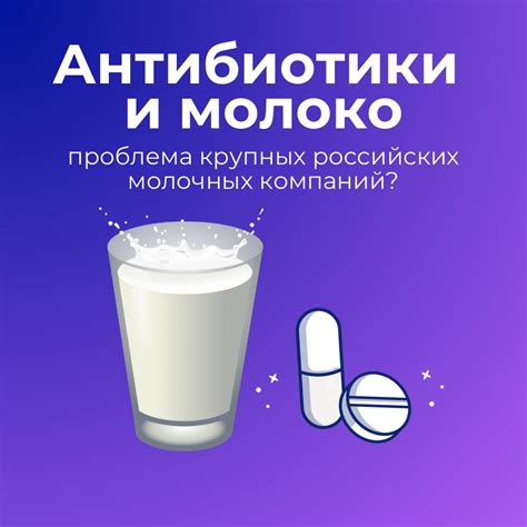 Антибиотики в молоке