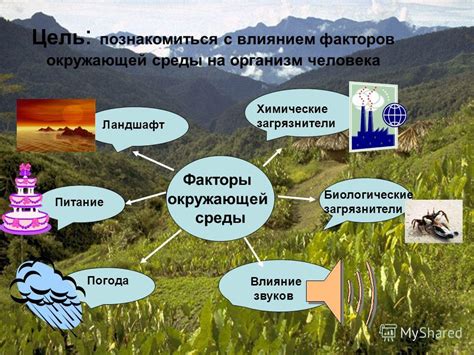 Антибиотики и окружающая среда: воздействие на экосистему