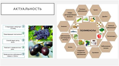 Антиоксидантные свойства продукта