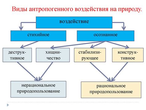 Антропогенные воздействия