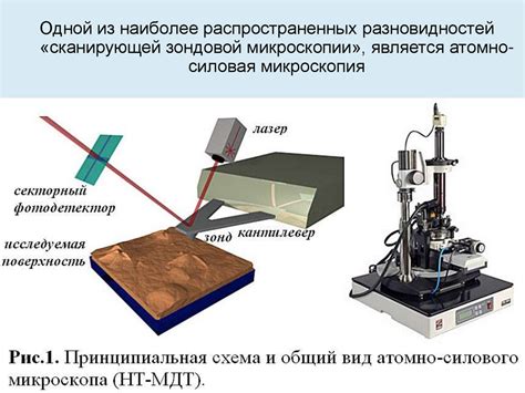 Атомно-силовая микроскопия в изучении ультратонких пленок