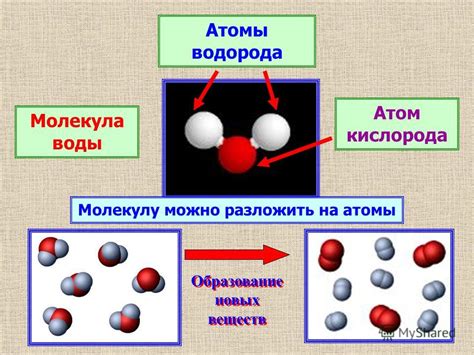 Атомы кислорода и водорода