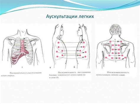 Аускультация хрипов: особенности и результаты