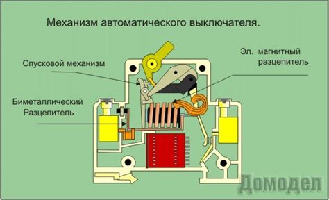 Безопасность на деле: как работает автоматический выключатель на триммере