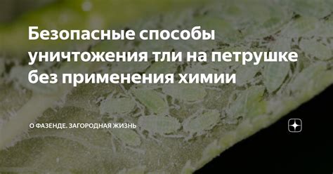 Безопасные методы уничтожения