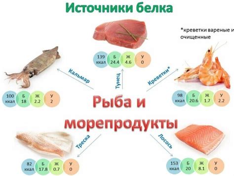 Белки: источники для обильного молока