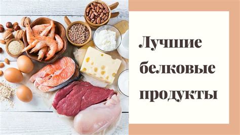 Белковые продукты для поддержания здоровой мускулатуры у ласки